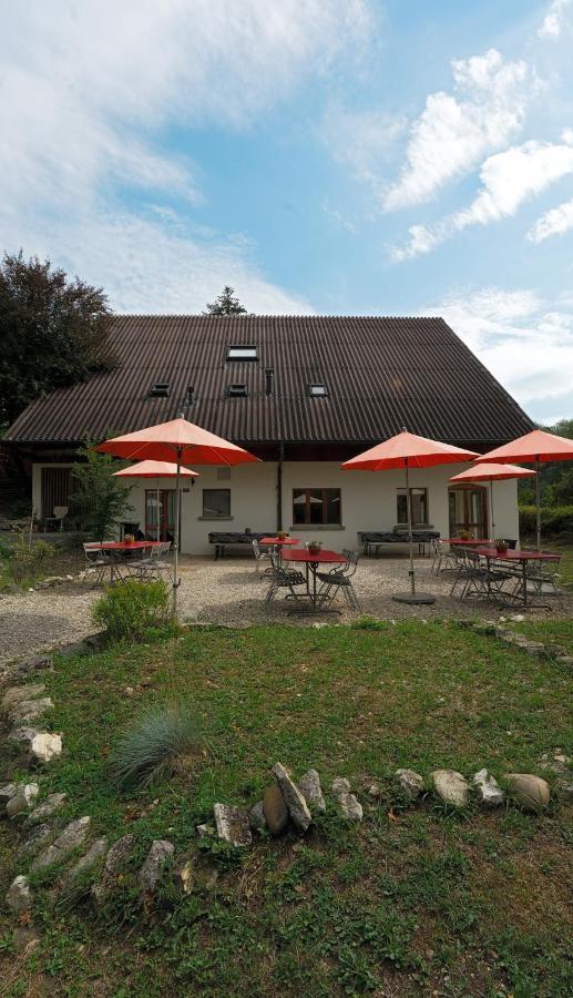 Delemont Youth Hostel Hostel *